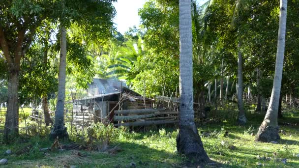 Фермерский Дом Сельской Местности Анде Бохол Филиппины — стоковое видео