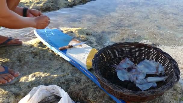 Hombre Limpiando Calamares Playa Isla Balicasag Bohol Filipinas — Vídeo de stock