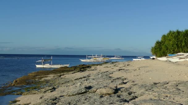 Catamaran Boats Balicasag Island Bohol Philippines — Stock Video