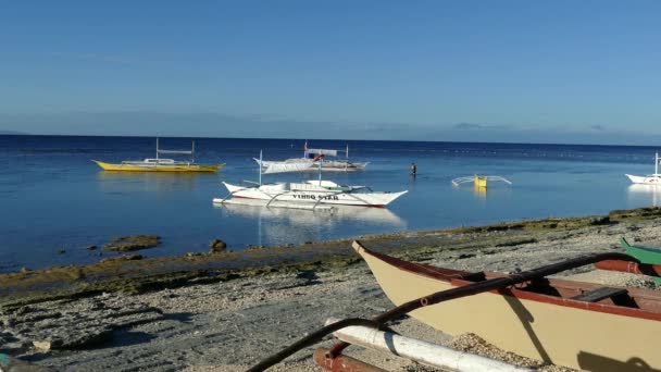 Katamaran Båtar Morgonen Balicasag Island Bohol Filippinerna — Stockvideo