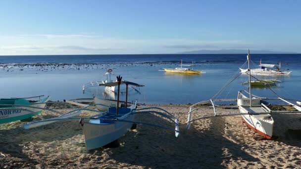 Katamaran Boote Morgen Auf Der Insel Balicasag Bohol Auf Den — Stockvideo