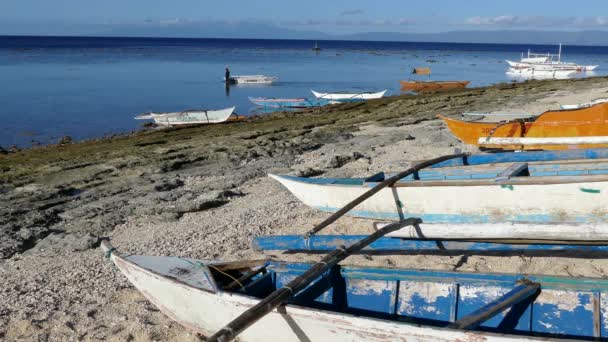 Katamaran Boote Morgen Auf Der Insel Balicasag Bohol Auf Den — Stockvideo