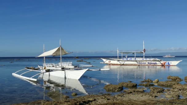 Katamaran Boote Morgen Auf Der Insel Balicasag Bohol Auf Den — Stockvideo