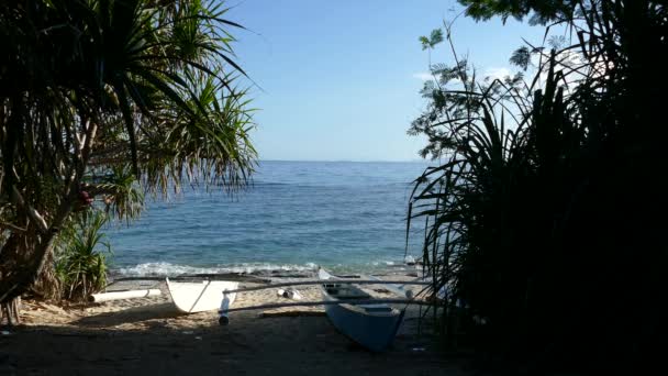 Katamaran Boot Strand Von Balicasag Island Bohol Auf Den Philippinen — Stockvideo