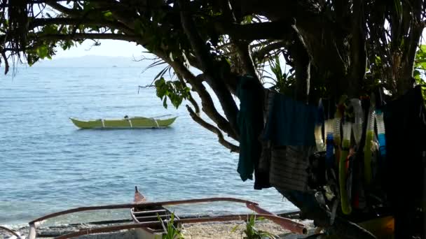 菲律宾博霍尔的Balicasag岛海滩上 悬挂在一棵树上的浮潜装置 — 图库视频影像