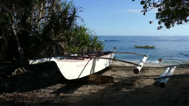 Catamaran Boat Shadow Tree Beach Balicasag Island Bohol Philippines — Stock Video