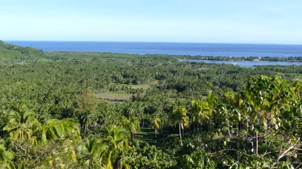 Пейзаж Пальм Океан Холмов Анды Бохол Филиппины — стоковое видео