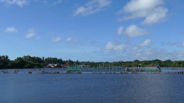 Viskwekerij Anda Bohol Filippijnen — Stockvideo