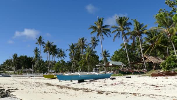 Kapal Catamaran Pantai Anda Pagi Hari Selama Pasang Rendah Pulau — Stok Video