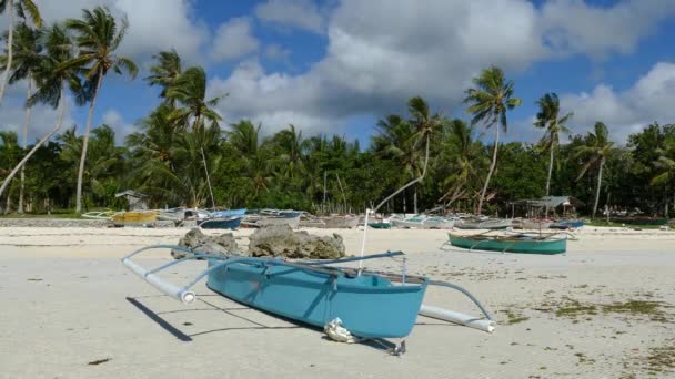 Blue Catamaran Boot Anda Strand Ochtend Bij Bohol Island Filippijnen — Stockvideo