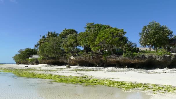 Costa Rocosa Playa Anda Por Mañana Durante Marea Baja Isla — Vídeos de Stock