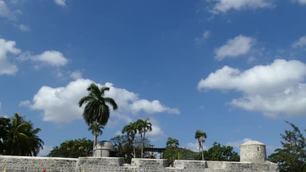 Muralla Del Fuerte San Pedro Cebú Filipinas — Vídeos de Stock