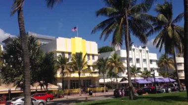 Miami Beach, ABD 'deki Palmtrees and Hotels