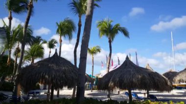 Palmiyeler ve plaj şemsiyeleri Aruba 'daki Palm Beach' te.