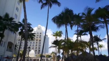 Aruba 'daki Riu Sarayı' nın yanındaki palmiyelerin altında yürüyorum.