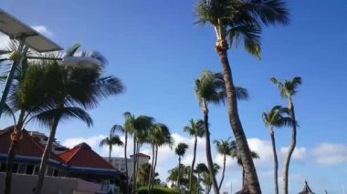 Aruba 'daki Palm Beach' te Playa Linda Plajı 'nın yanından geçiyoruz.