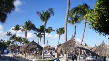 Aruba 'daki Palm Beach' te Playa Linda Plajı 'nın yanından geçiyoruz.