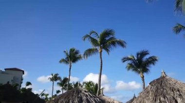 Hyatt Regency Oteli ve Aruba Oteli 'nin önündeki Palm Beach' e doğru yürüyorum.