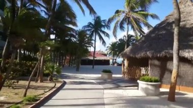 Aruba 'da Palm Beach' te dolaşıyorum.