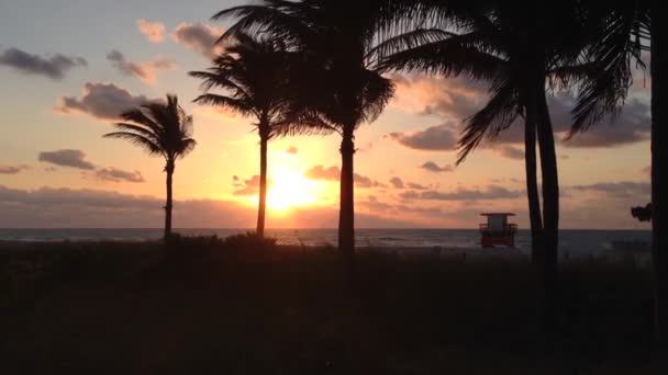 Zachód Słońca Miami Beach Usa — Wideo stockowe