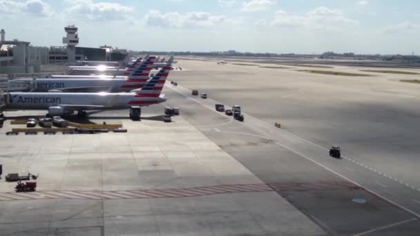 Miami Airport Med American Airlines Flygplan Usa — Stockvideo