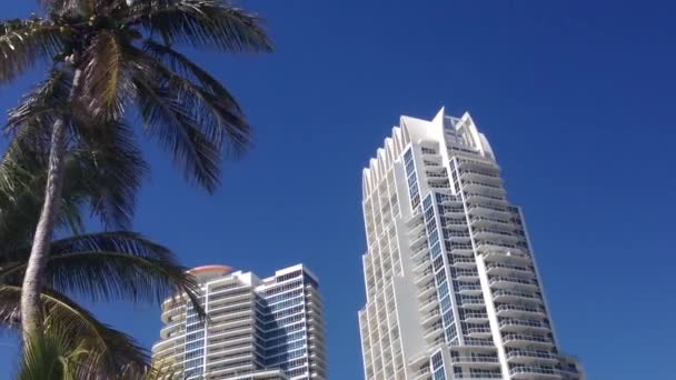 Hôtels Avec Palmiers Miami Beach États Unis — Video