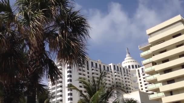 Palmtree Hotel Miami Beach Usa — Stock Video