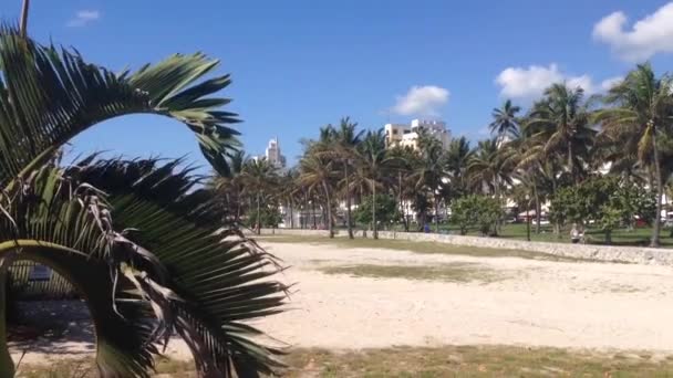 Boulevard Miami Beach Usa — Stockvideo