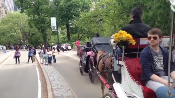 Häst Och Vagn Med Turister Central Park New York City — Stockvideo