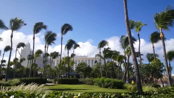 Palais Riu Sur Aruba Avec Palmiers — Video