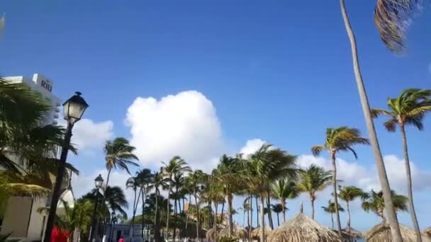 Caminhando Frente Palácio Riu Aruba — Vídeo de Stock