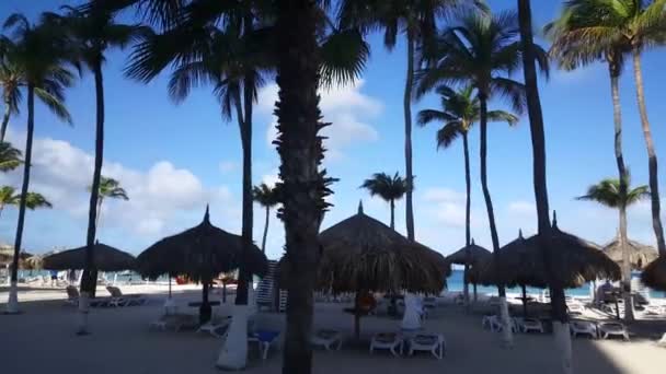 Glissière Palm Beach Sur Aruba — Video