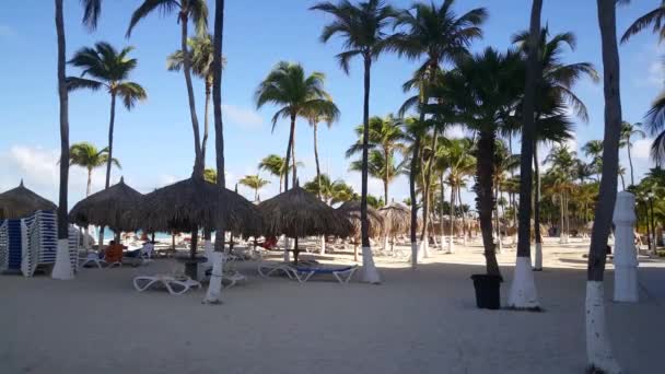 Palm Beach Aruba Ostrov — Stock video