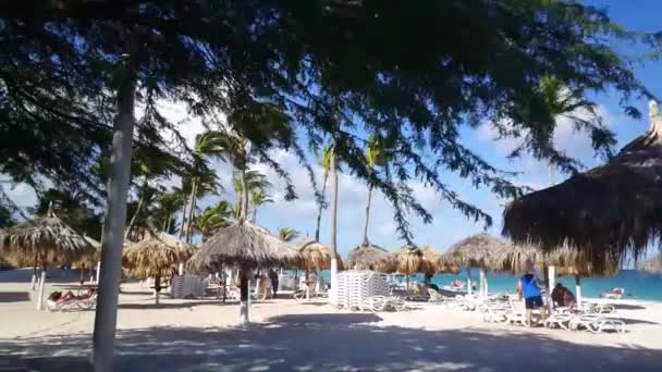 Langs Radisson Aruba Resort Palm Beach — Stockvideo