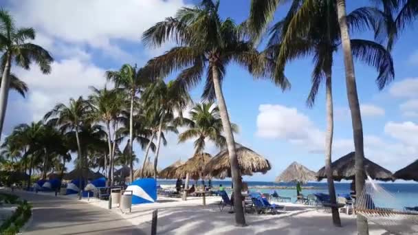 Wandelen Richting Westin Resort Aruba — Stockvideo