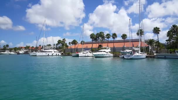 Yachter Hamnen Oranjestad Aruba — Stockvideo