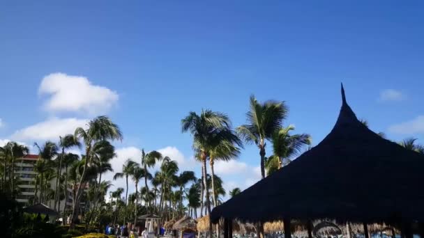 Прогулка Пляжу Палм Арубе — стоковое видео