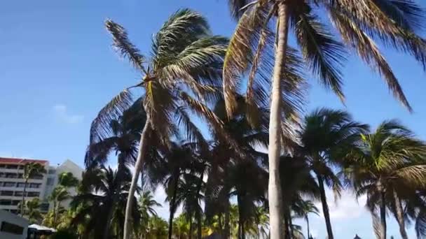 Promenader Mot Västerländska Grand Aruba Resort — Stockvideo