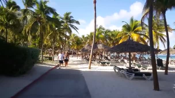 Spaziergang Palm Beach Auf Aruba Touristen Vorbei — Stockvideo