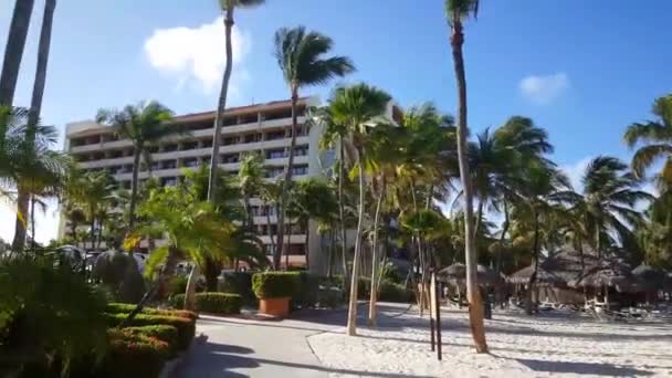 Séta Nyugati Grand Aruba Resort Felé — Stock videók