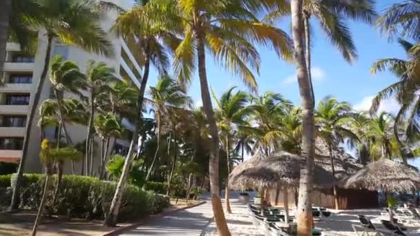 Batı Büyük Aruba Tatil Köyü Doğru Yürüyorum — Stok video