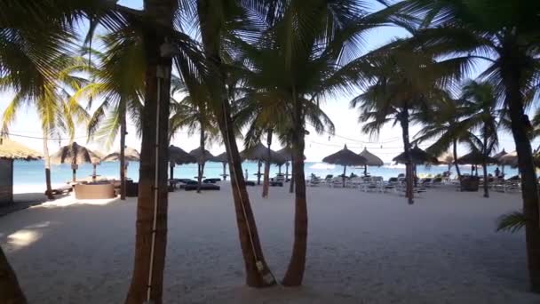 Pan Från Palm Beach Aruba — Stockvideo