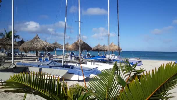 Spiaggia Delle Palme Aruba Con Catamarani — Video Stock