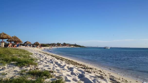 Playa Arashi Aruba — Vídeos de Stock