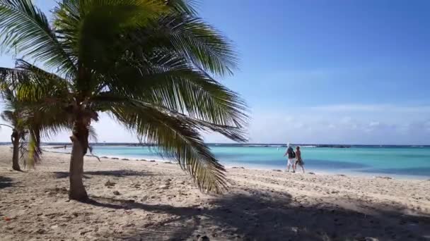 Tourist Walking Baby Beach Aruba — Stock Video