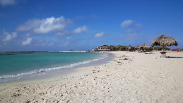 Babystrand Auf Aruba — Stockvideo