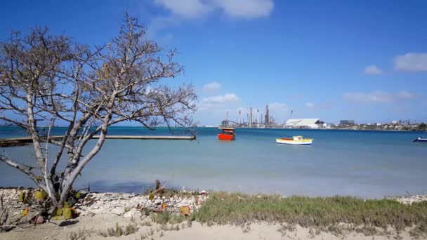 Praia Rodgers Ilha Aruba — Vídeo de Stock