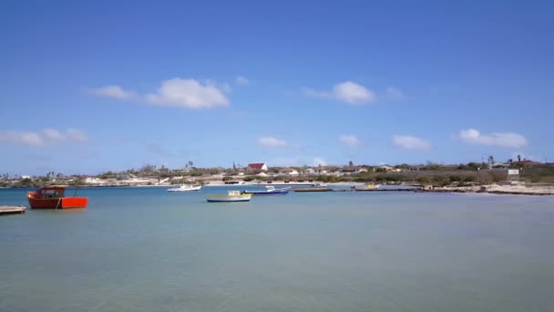 Παραλία Rodgers Στο Νησί Αρούμπα — Αρχείο Βίντεο