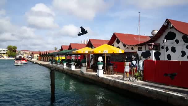 Terras Achter Een Bar Haven Van Oranjestad Aruba — Stockvideo