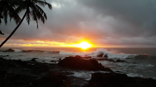Sunrise Coast Montezuma Costa Rica — Stock Video